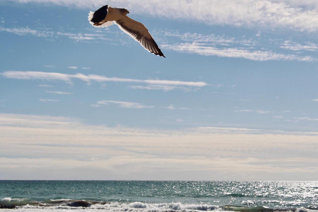 Atlas Wonders Coworking Surf Camp タガズー エクステリア 写真